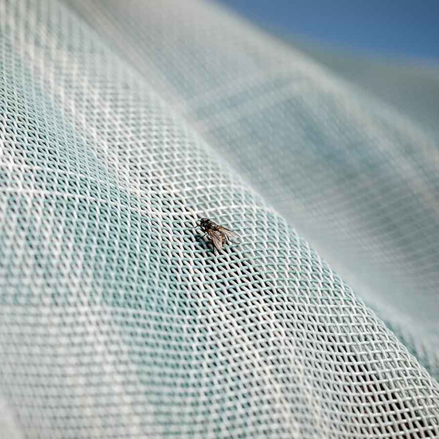 Fly Rug Newmarket Witney Dynasty