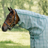 Neck Newmarket Witney Dynasty Neck Newmarket Witney Dynasty