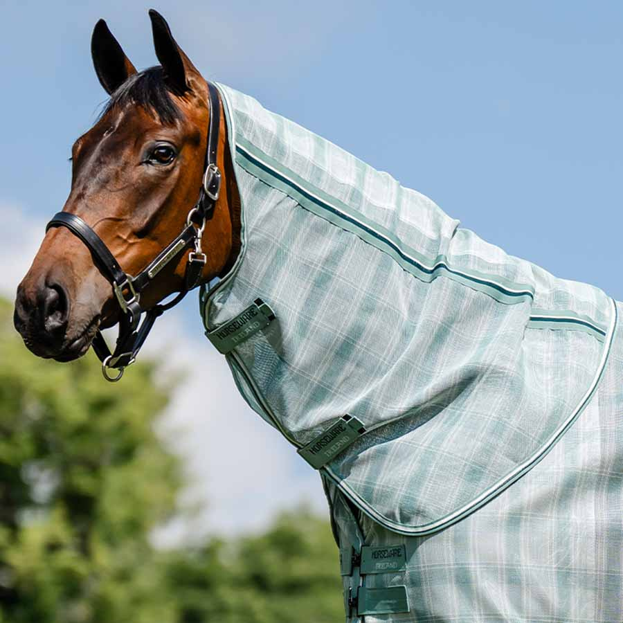 Neck Newmarket Witney Dynasty