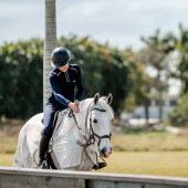 Fly Sheet Amigo Flyrider Silver/Grey Fly Sheet Amigo Flyrider Silver/Grey