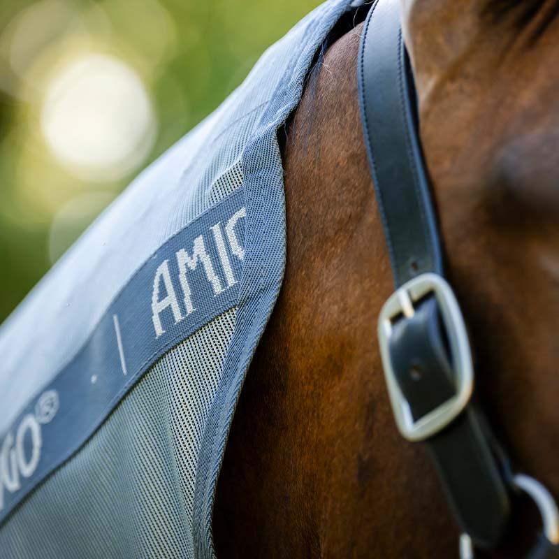 Fly Rug Amigo Integrated Light Blue/Blue/Silver