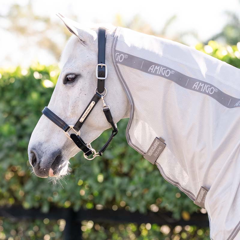 Fly Rug Amigo Integrated Silver/Grey