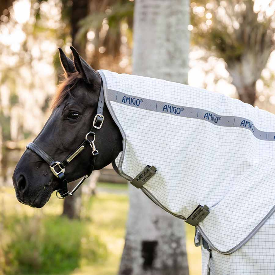 Summer Rug Amigo Summer Plus Navy Check