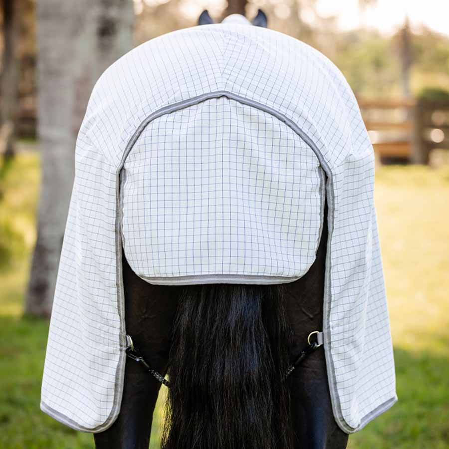 Summer Rug Amigo Summer Plus Navy Check