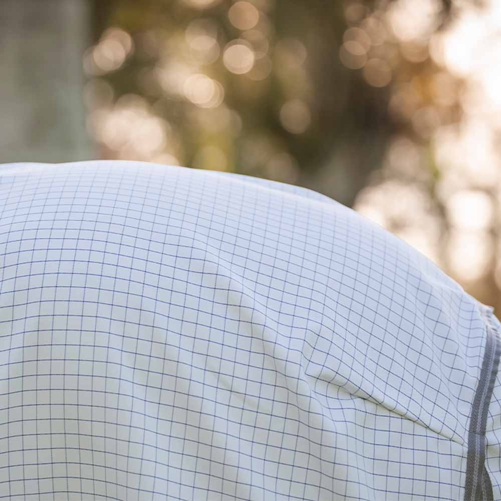 Summer Rug Amigo Summer Plus Navy Check