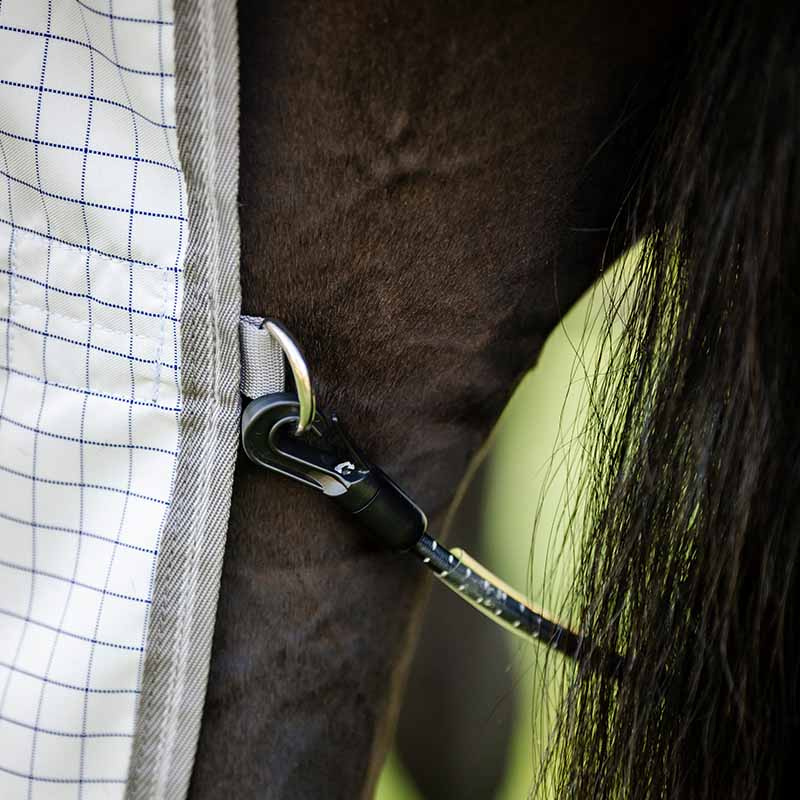 Summer Rug Amigo Summer Plus Navy Check