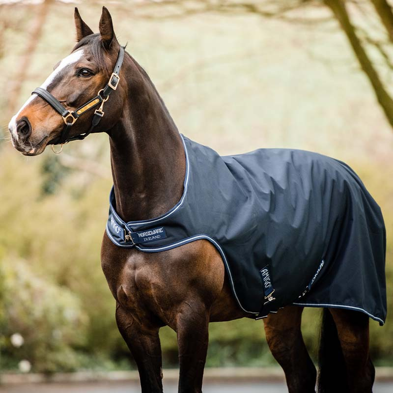 Exercise Machine Rug Amigo Walker 100g Black/Silver