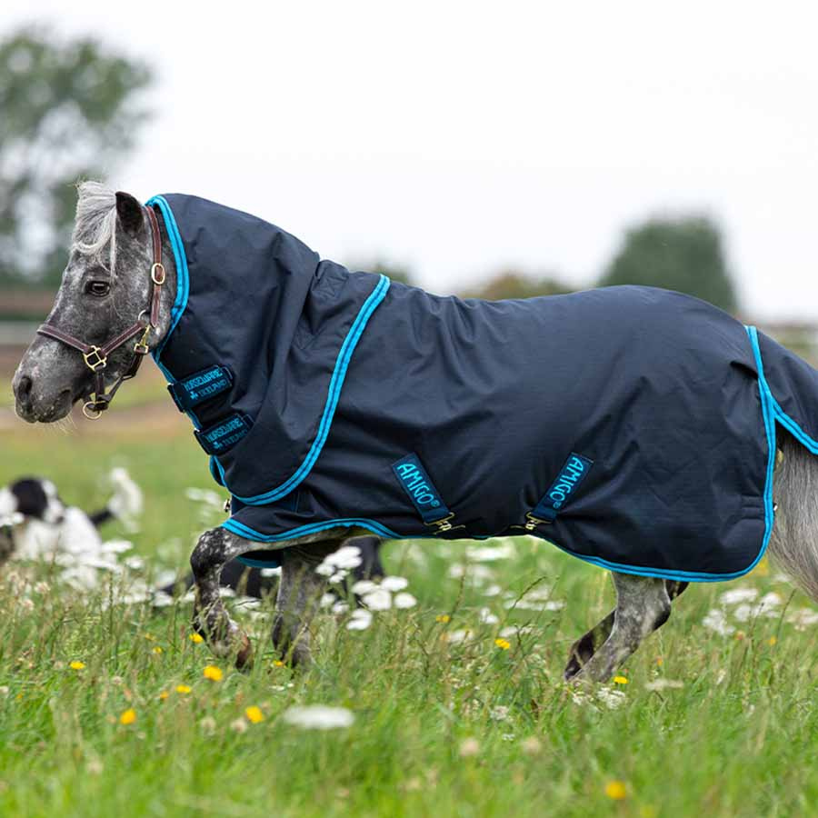 Winter Rug Amigo Hero 6 Petite Plus T/O 200g Navy Blue/Turquoise