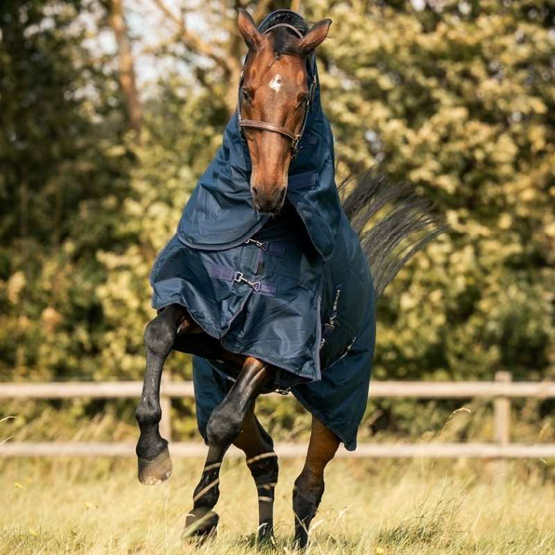 Winter Turnout Combo Rug 300g 600D Navy Blue