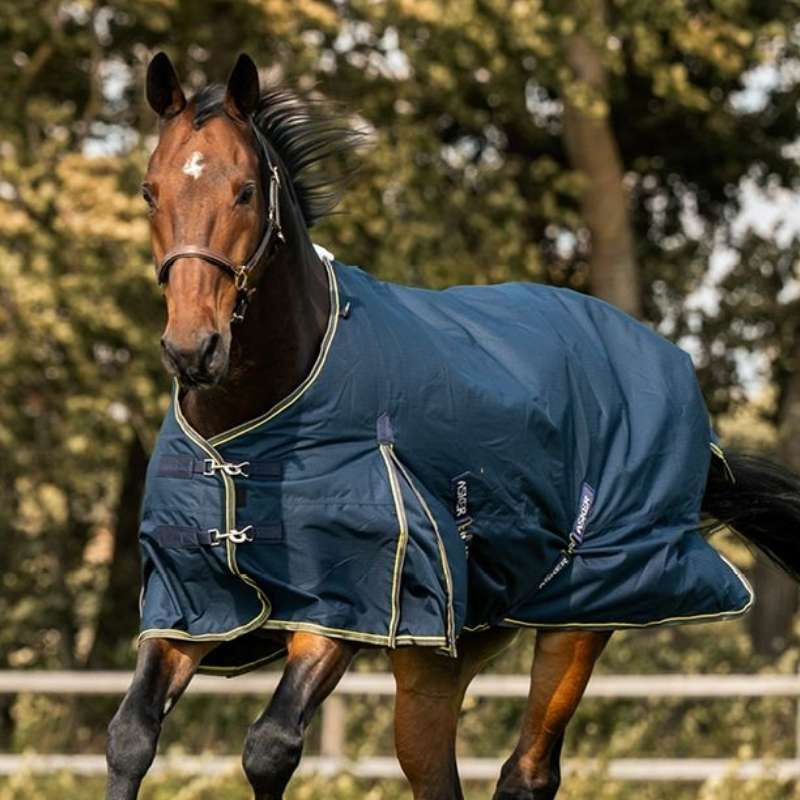 Mid Season Turnout Rug 100g 600D Navy Blue