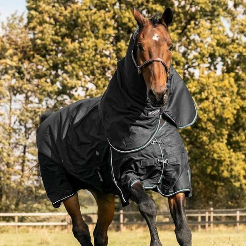 Winter Turnout Combo Rug Plus 300g 1200D Black