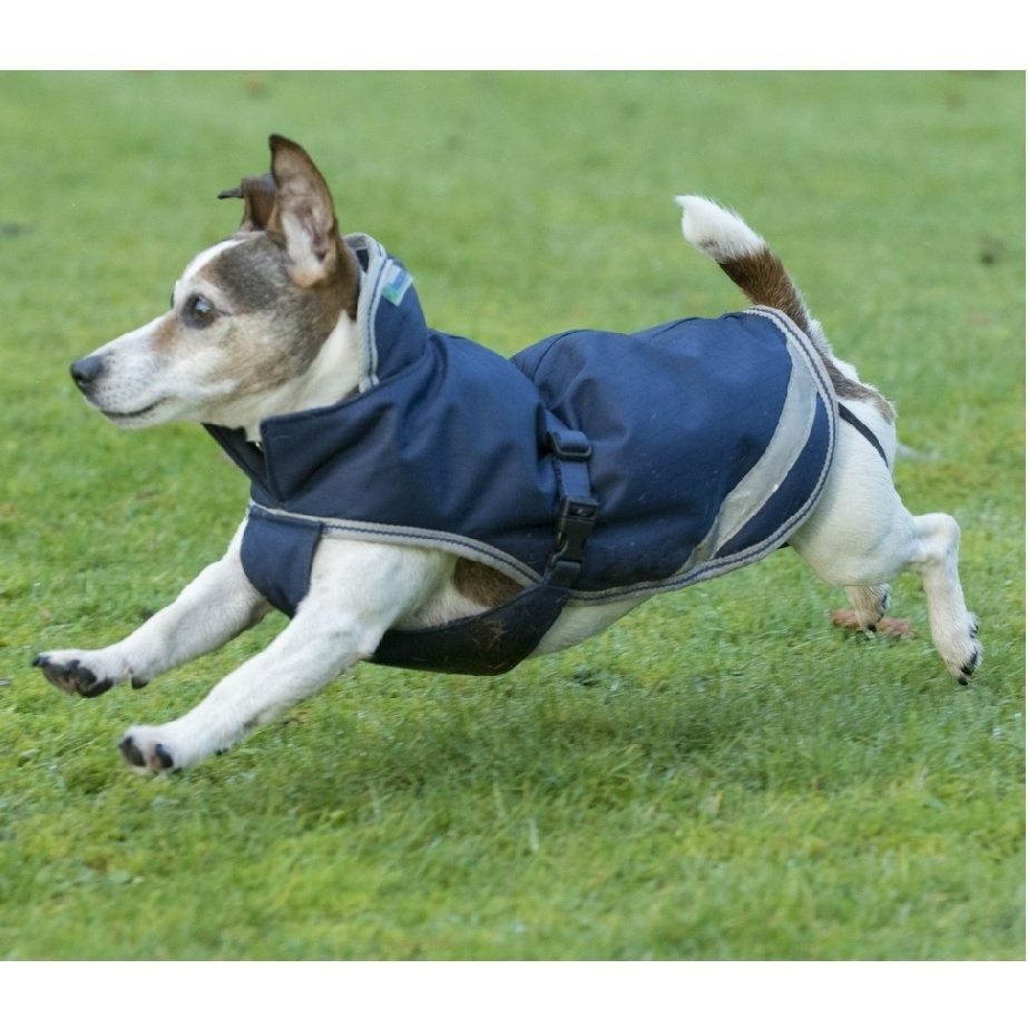 Dog Blanket Freedom 50g Navy Blue