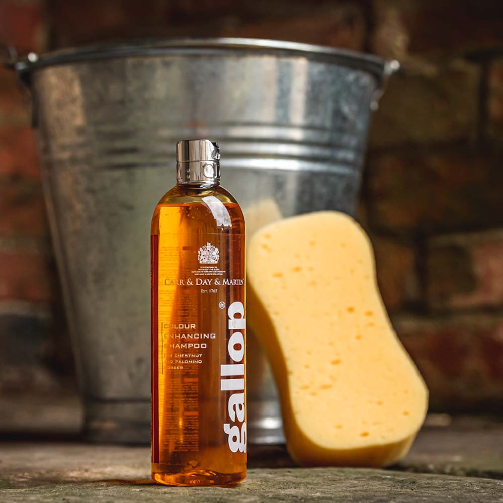 Shampoo Gallop Colour Fox & Palomino 500ml