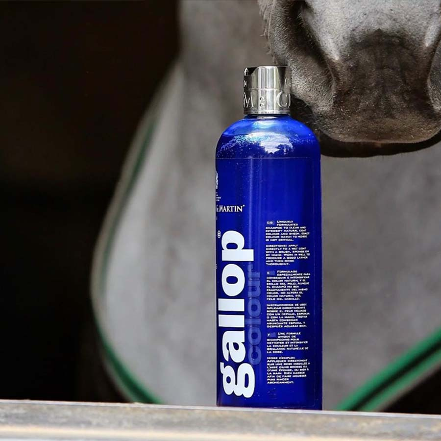 Shampoo Gallop Colour Grey 500ml