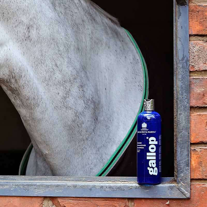 Shampoo Gallop Colour Grey 500ml