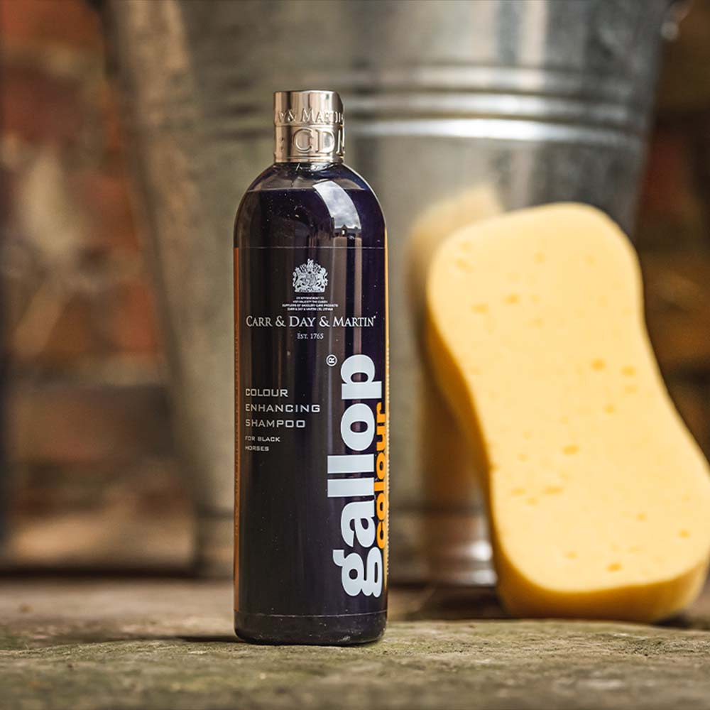 Shampoo Gallop Colour Black 500ml