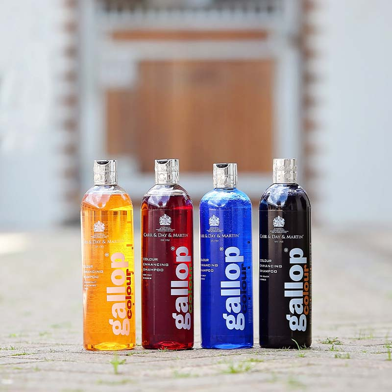Shampoo Gallop Colour Brown 500ml