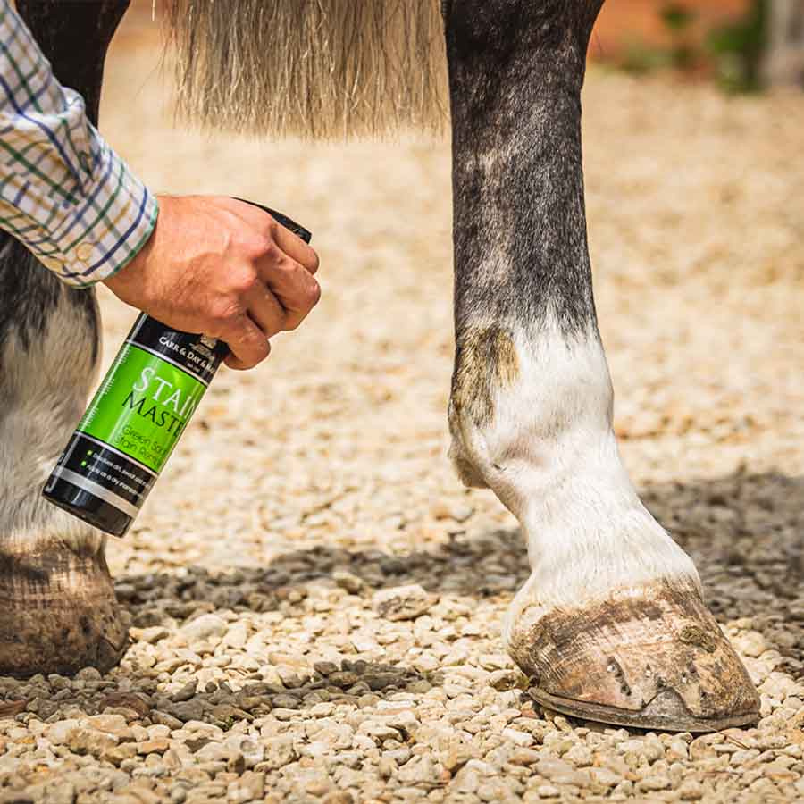 Dry Shampoo Stain Master 500ml