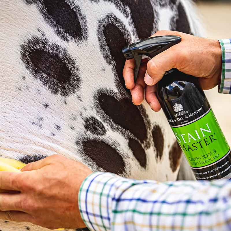 Dry Shampoo Stain Master 500ml