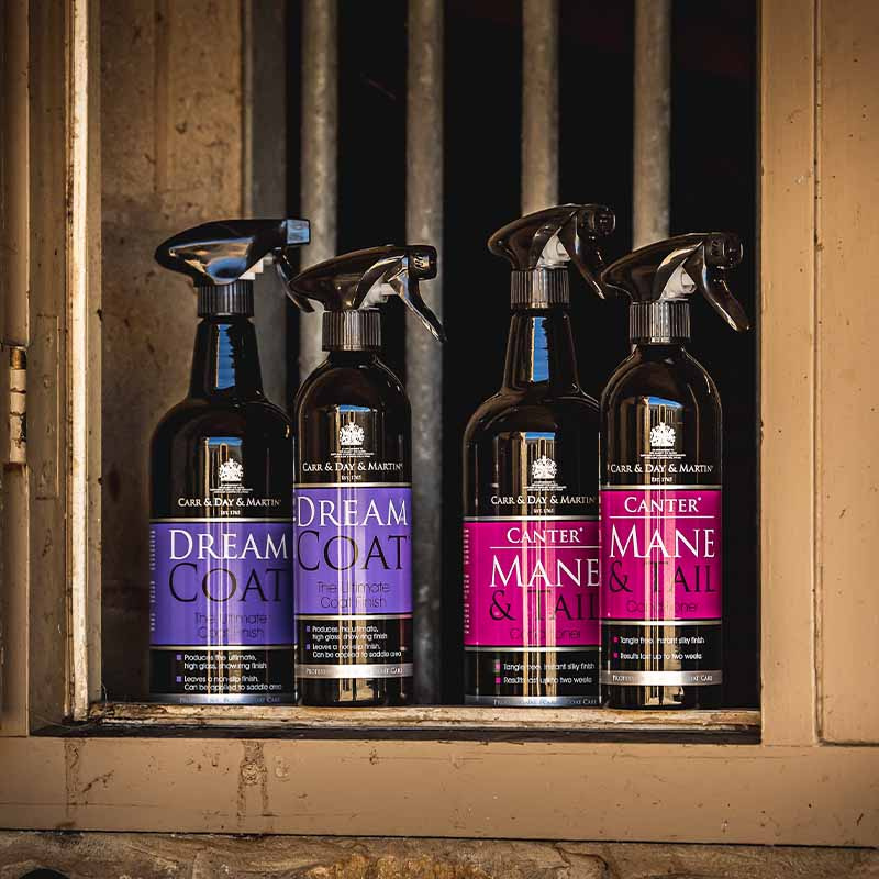 Coat Care The Ultimate Grooming Duo