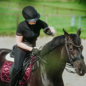 Dressage Saddle Pad Satin Crystal Bordeaux Dressage Saddle Pad Satin Crystal Bordeaux