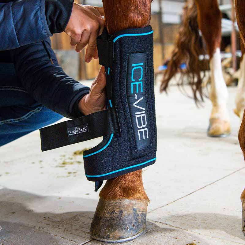 Cooling Boots Ice-Vibe LED Black/Blue