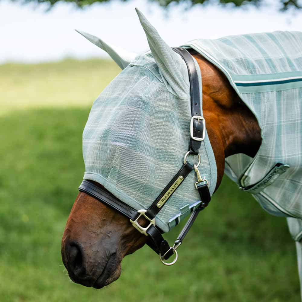 Fly Veil Newmarket Witney Dynasty