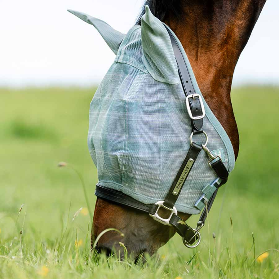 Fly Veil Newmarket Witney Dynasty