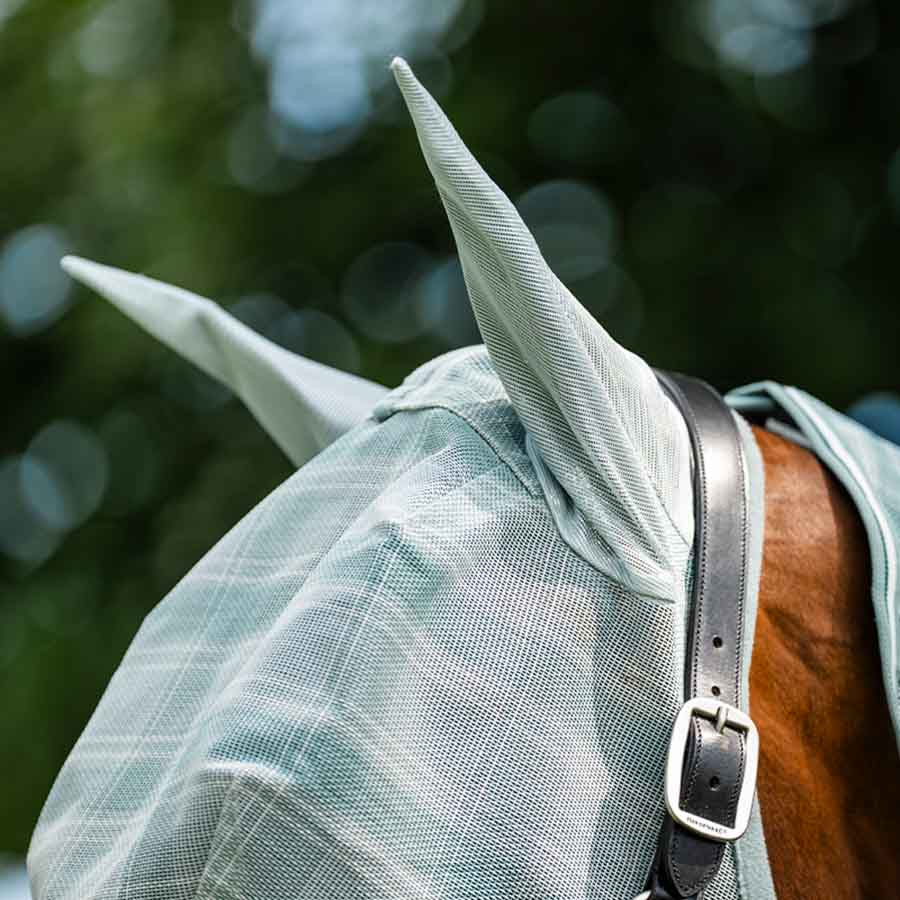 Fly Veil Newmarket Witney Dynasty