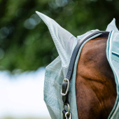 Fly Veil Newmarket Witney Dynasty Fly Veil Newmarket Witney Dynasty