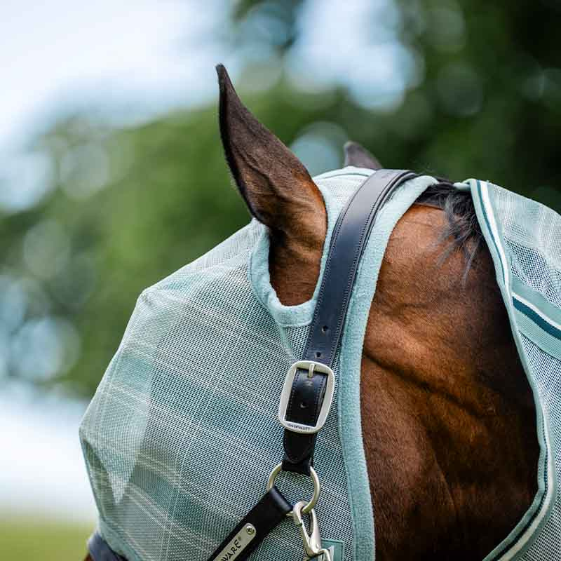 Fly Veil Newmarket No Ears Witney Dynasty