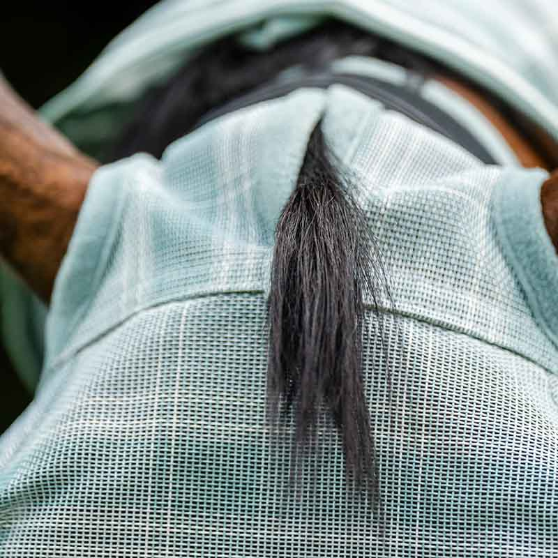 Fly Veil Newmarket No Ears Witney Dynasty