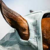 Fly Veil Newmarket No Ears Witney Dynasty Fly Veil Newmarket No Ears Witney Dynasty