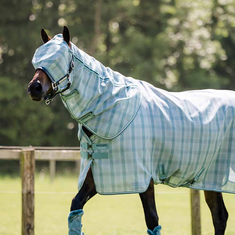 Fly Veil Newmarket No Ears Witney Dynasty