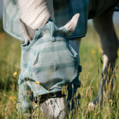 Fly Veil Newmarket No Ears Witney Dynasty Fly Veil Newmarket No Ears Witney Dynasty