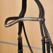 V-shaped Browband Brass Clincher Dyon Collection Black V-shaped Browband Brass Clincher Dyon Collection Black