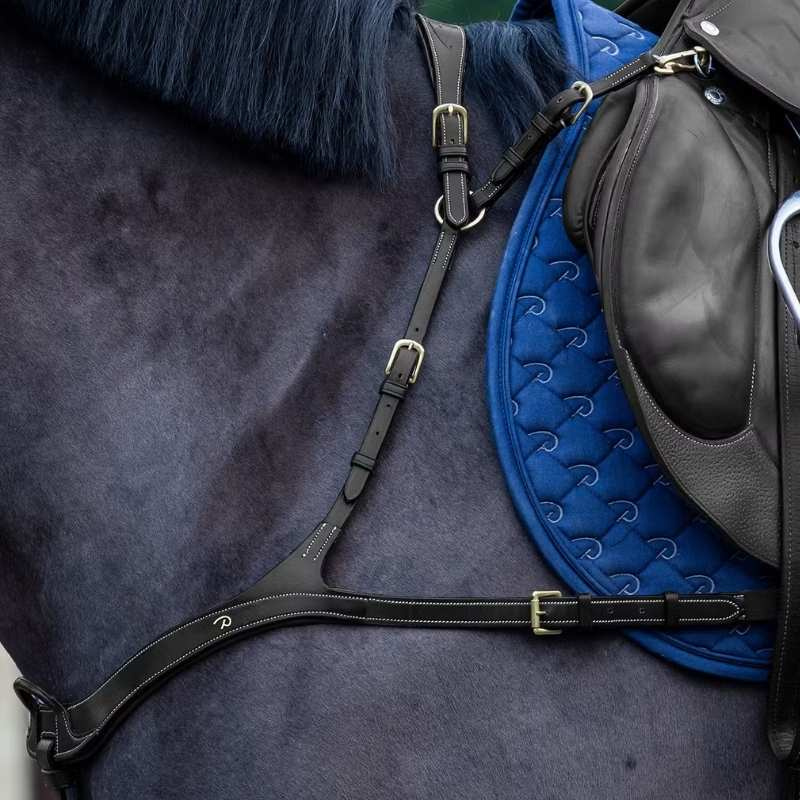 Breastplate Anatomical Dyon Collection Black