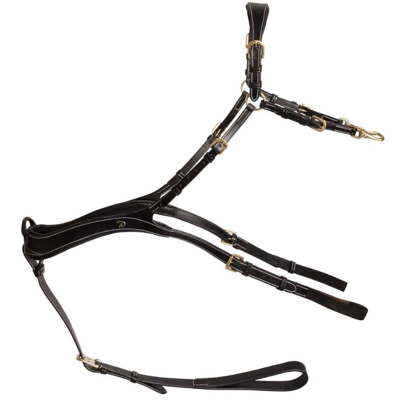 Breastplate Anatomical Dyon Collection Black
