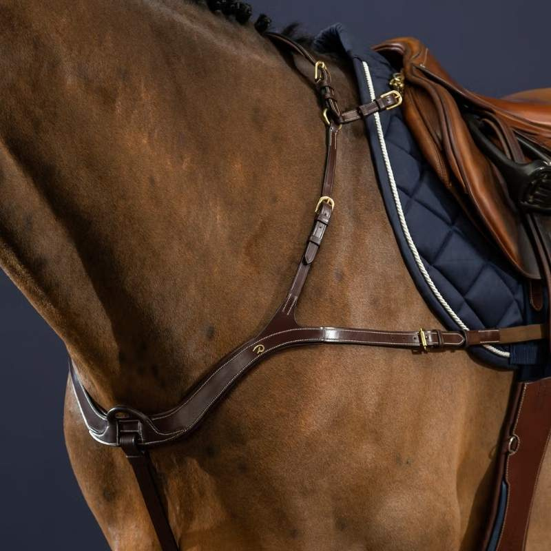 Breastplate Anatomical Dyon Collection Brown