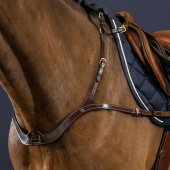 Breastplate Anatomical Dyon Collection Brown Breastplate Anatomical Dyon Collection Brown