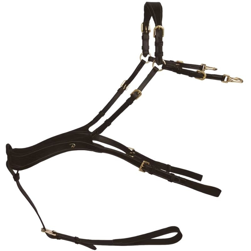 Breastplate Anatomical Dyon Collection Brown