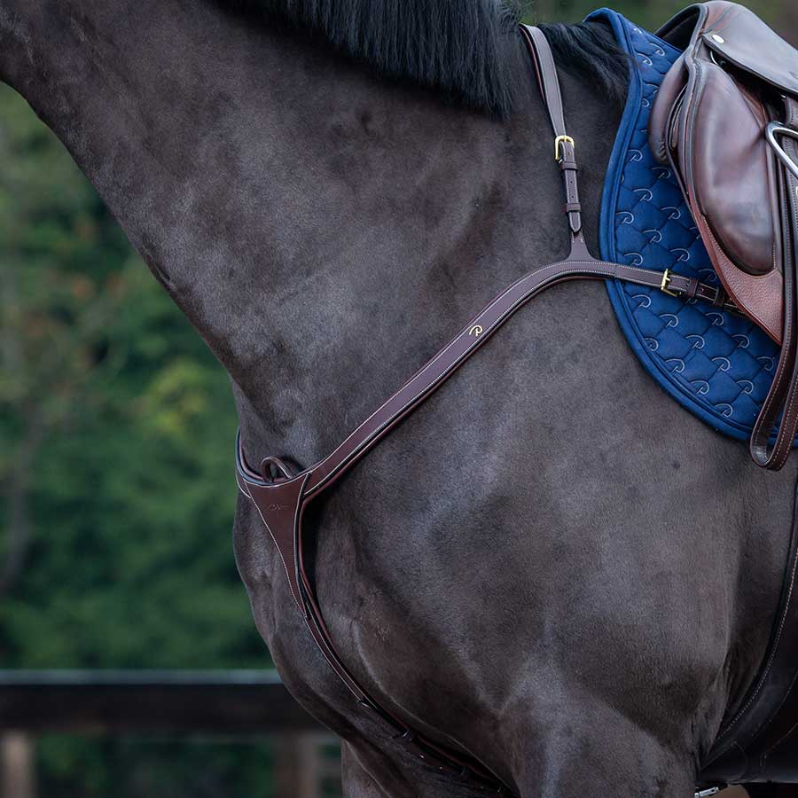 Breastplate with Long Bridge DC Brown