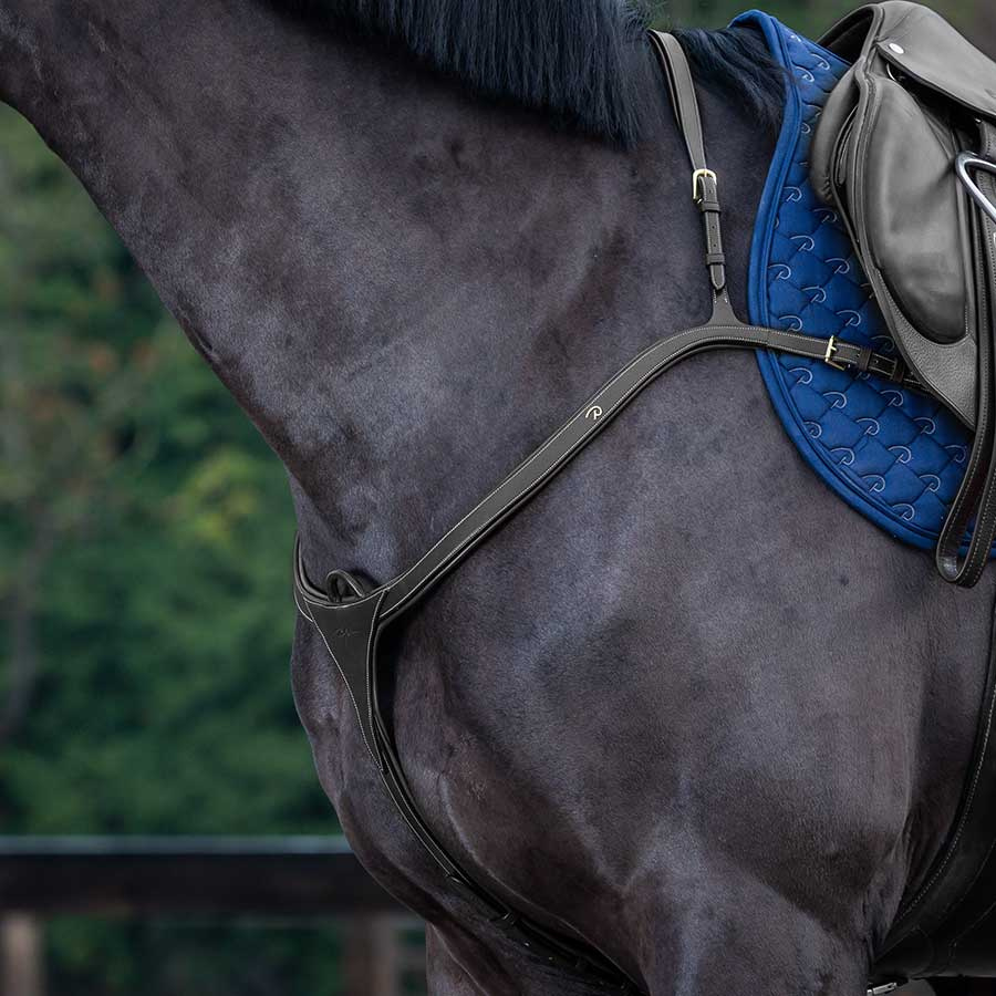 Breastplate with Long Bridge DC Black