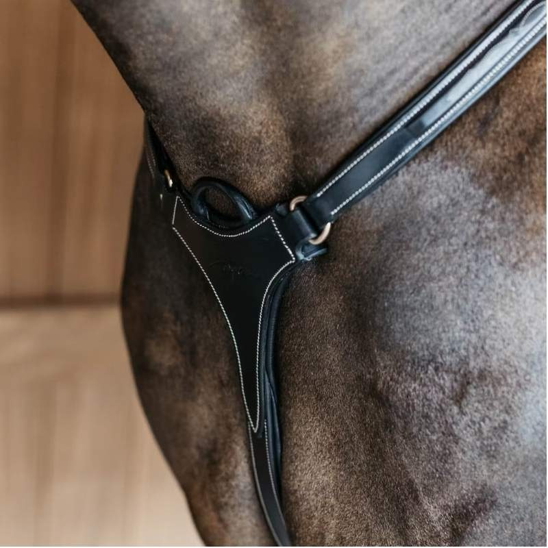 5-point Breastplate Elastic Dyon Collection Black