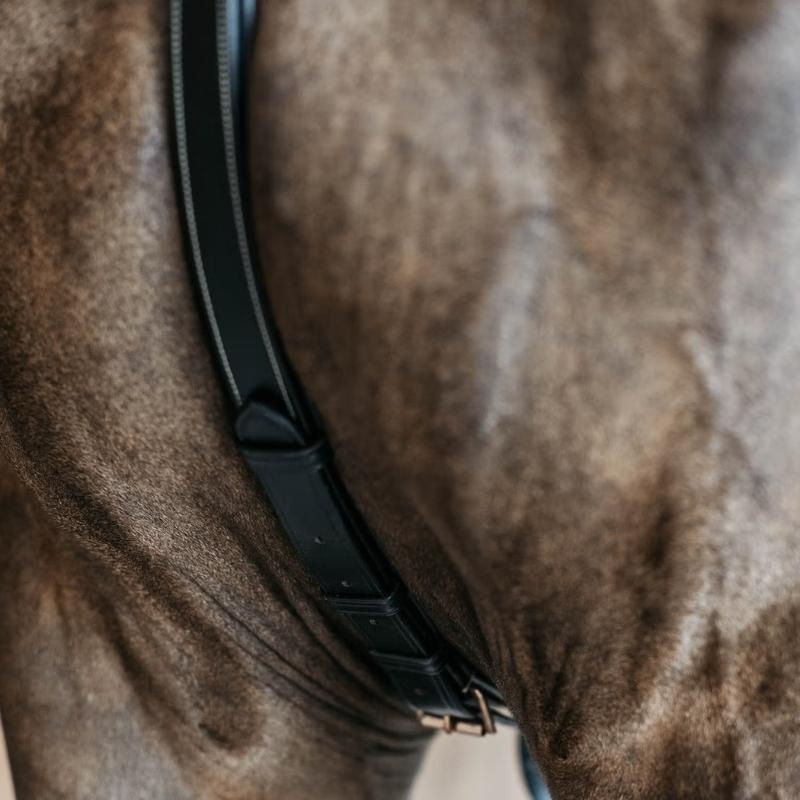 5-point Breastplate Elastic Dyon Collection Black