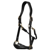 Grooming Halter Artificial Leather Anatomic DC Black Grooming Halter Artificial Leather Anatomic DC Black