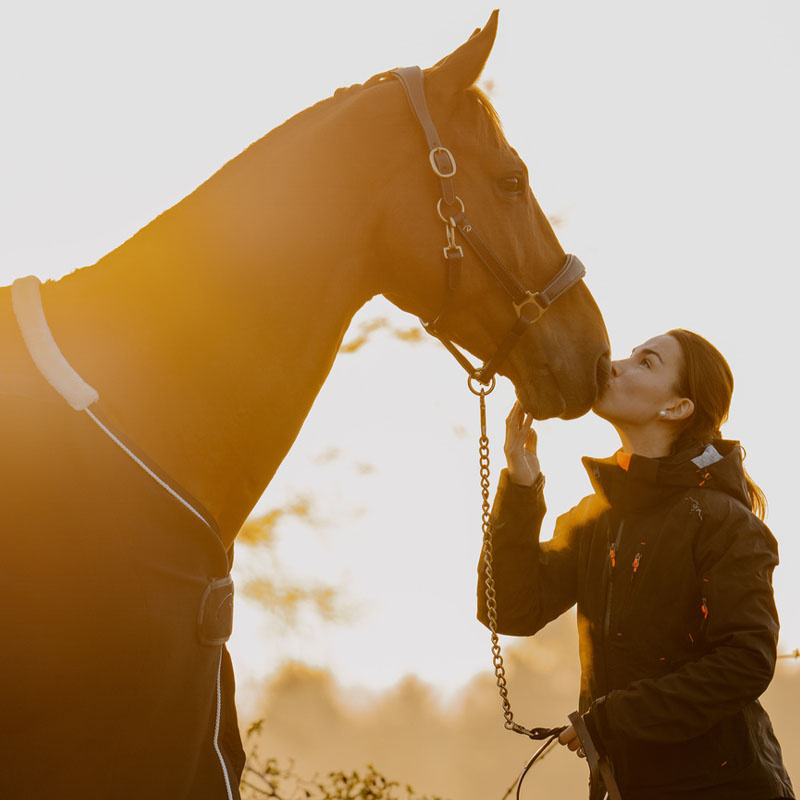 Grooming Halter Artificial Leather Anatomic DC Brown