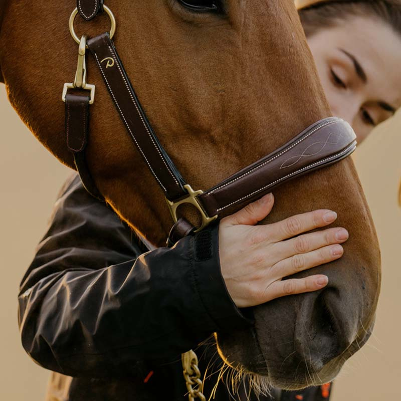 Grooming Halter Artificial Leather Anatomic DC Brown