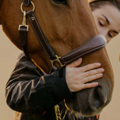 Grooming Halter Artificial Leather Anatomic DC Brown Grooming Halter Artificial Leather Anatomic DC Brown