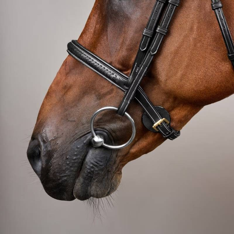Bridle without Flash Plaited Dyon Collection Black